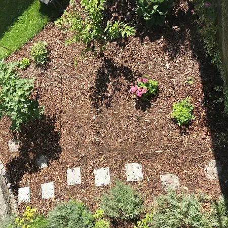 Blackbird's Nest * Wiesenbronn