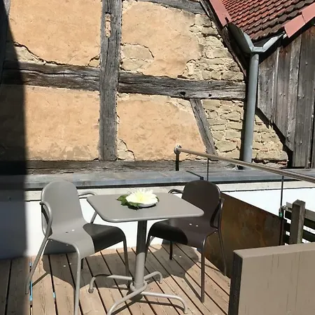 Apartman Blackbird's Nest *