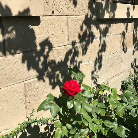 Apartman Blackbird's Nest Wiesenbronn