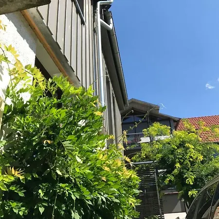 Blackbird's Nest Apartman *