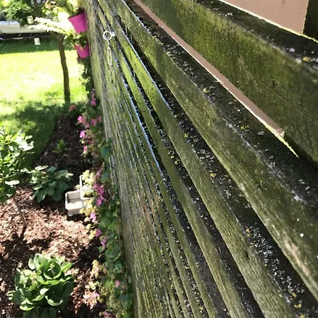 Blackbird's Nest * Wiesenbronn